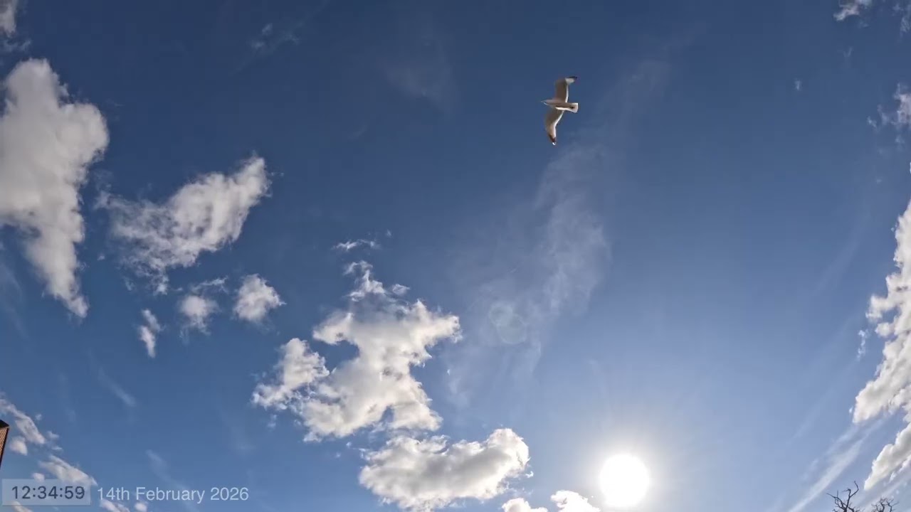 Daytime Sky Time Lapse 14th February 2026