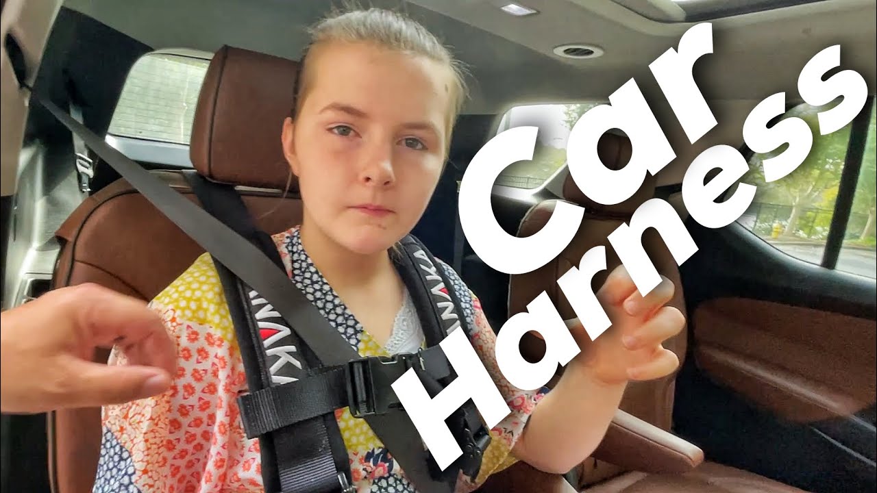 Special Needs Car Harness