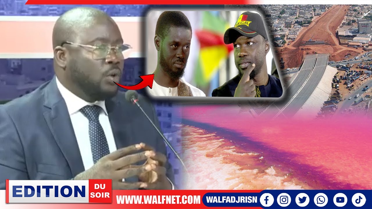 Diamniadio : La Nouvelle Ville Expliquée Par Bara Diouf DG DGPU, Le Mystère Du Lac Rose révélé