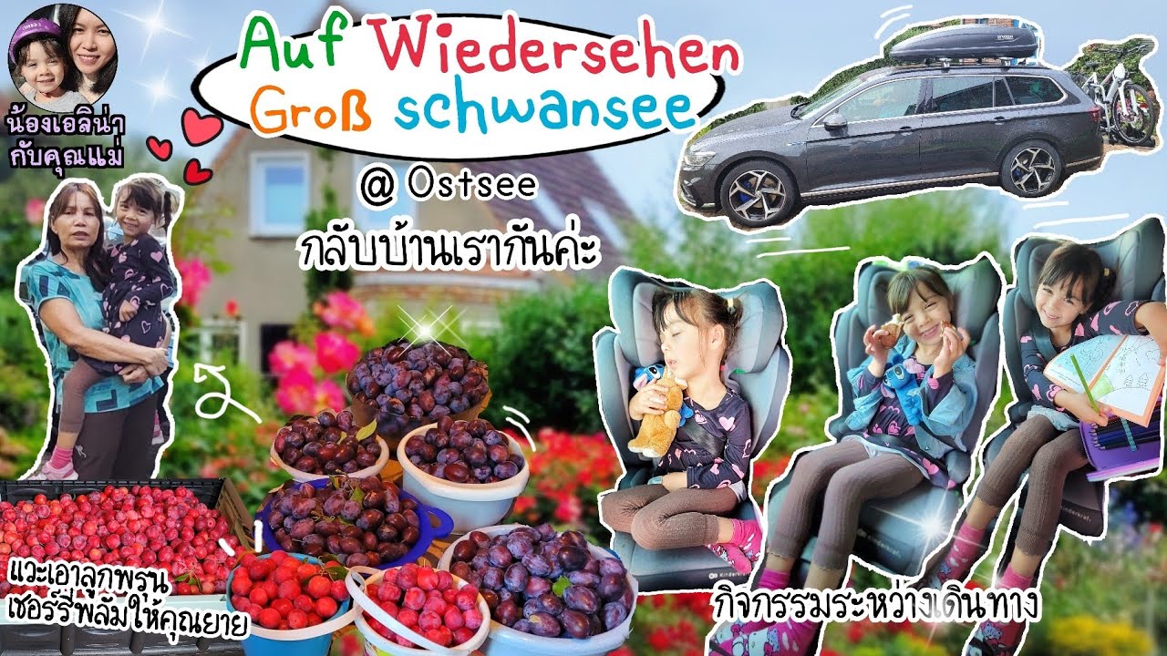 EP.189Auf wiedersehen⛱️กลับบ้านเรากันค่ะ/กิจกรรมระหว่างเดินทาง/แวะเอาลูกพรุน,เชอร์รี่พลัมให้คุณยาย🍒