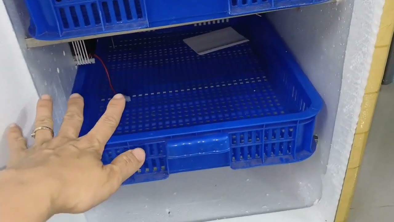 CÁCH TỰ LÀM THÙNG ẤP TRỨNG Đảo tay  ĐƠN GIẢN TẠI NHÀ BẰNG  CARBON F91 | NÔNG TRẠI CÔ ÚT 0976629090