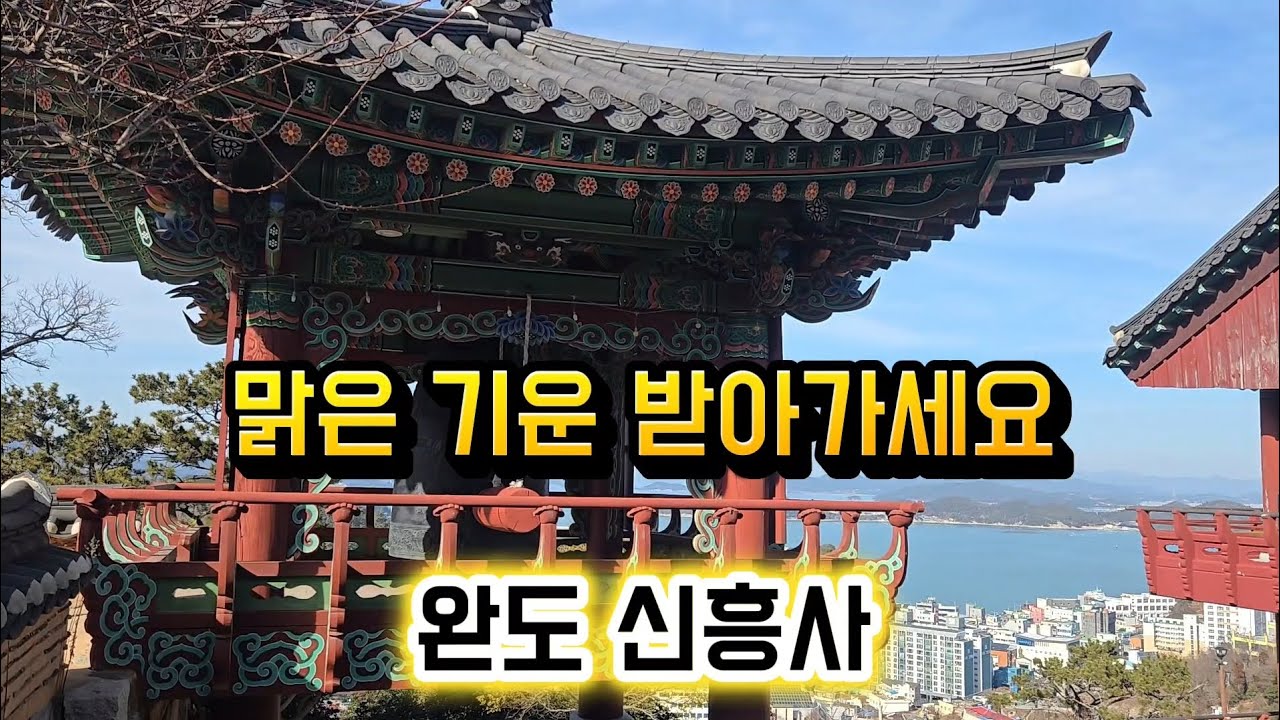 지친 화요일, 가슴 뻥 뚫리는 완도 신흥사의 맑은 기운 받아가세요