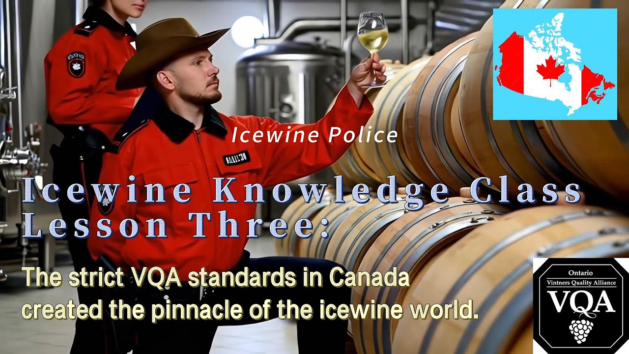Icewine Knowledge Class 3: The strict VQA standard in Canada create the pinnacle of the icewine.