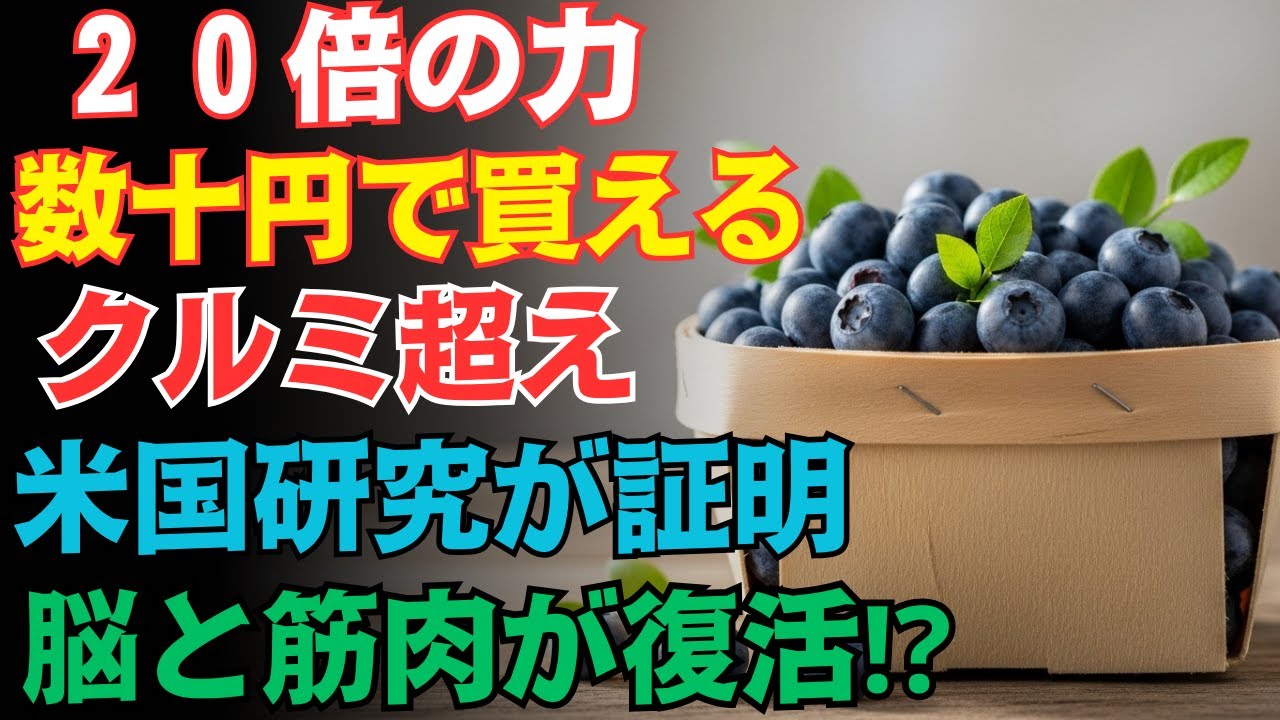 ブルーベリーを超える驚異の抗老化力！専門医がすすめる、七十代からでも脳力と筋力を目覚めさせるスーパーで手に入る最強食材七選【食事で健康長寿／脳・筋肉再生】