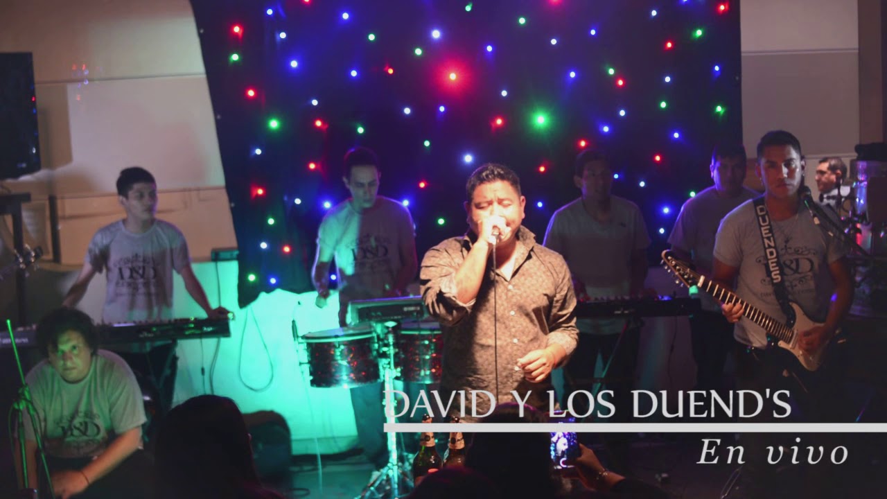 david y los duendes en el espinillo 4