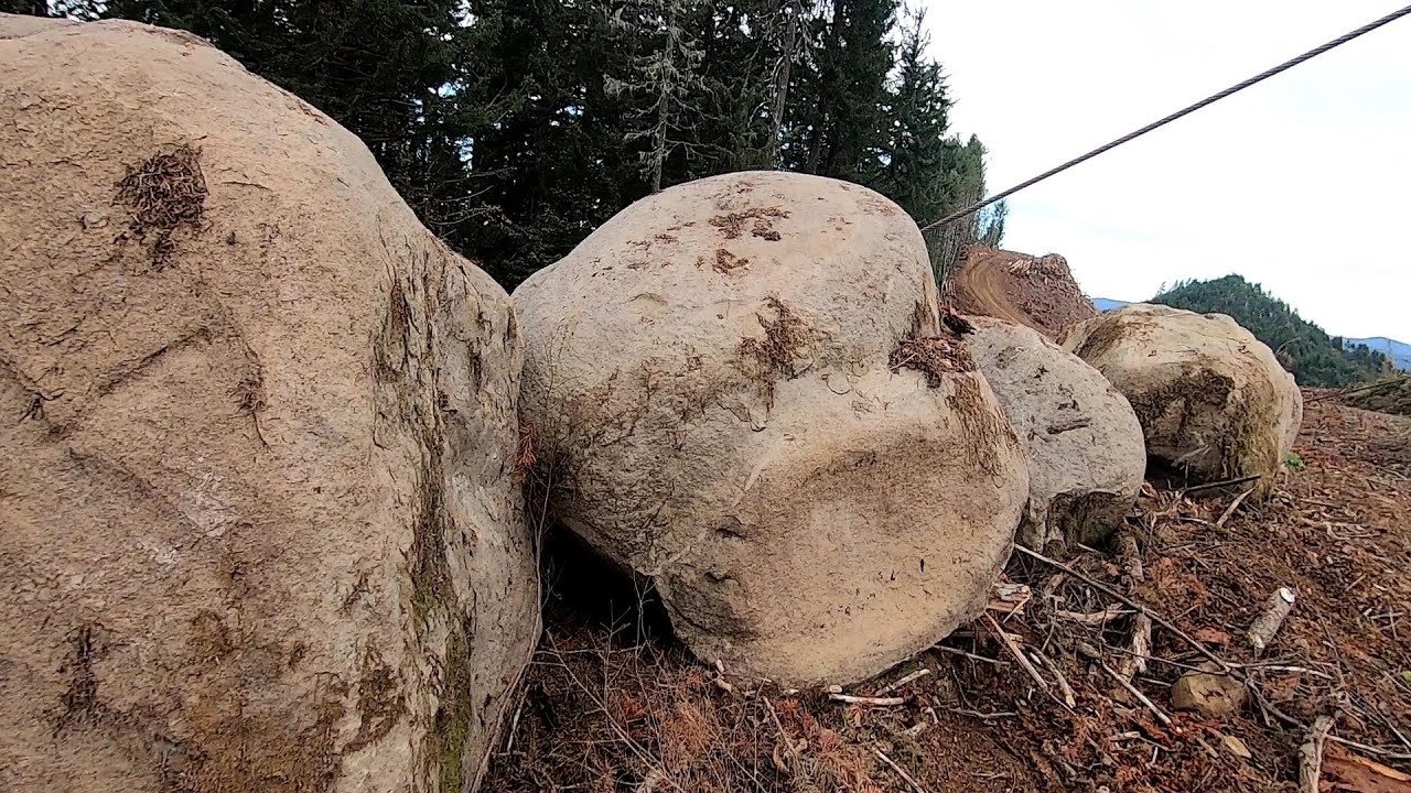 TENDON BALLS TRANSITIONED TO SANDSTONE