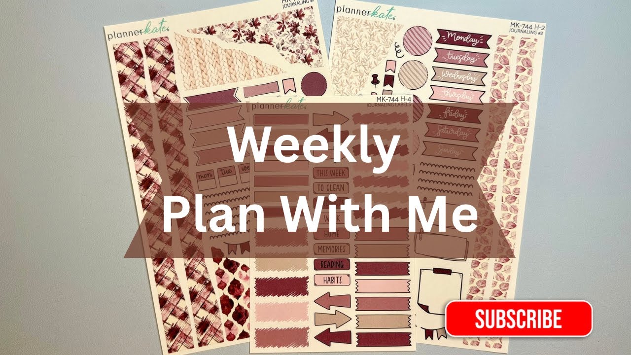Weekly Plan With Me | Erin Condren Daily Duo