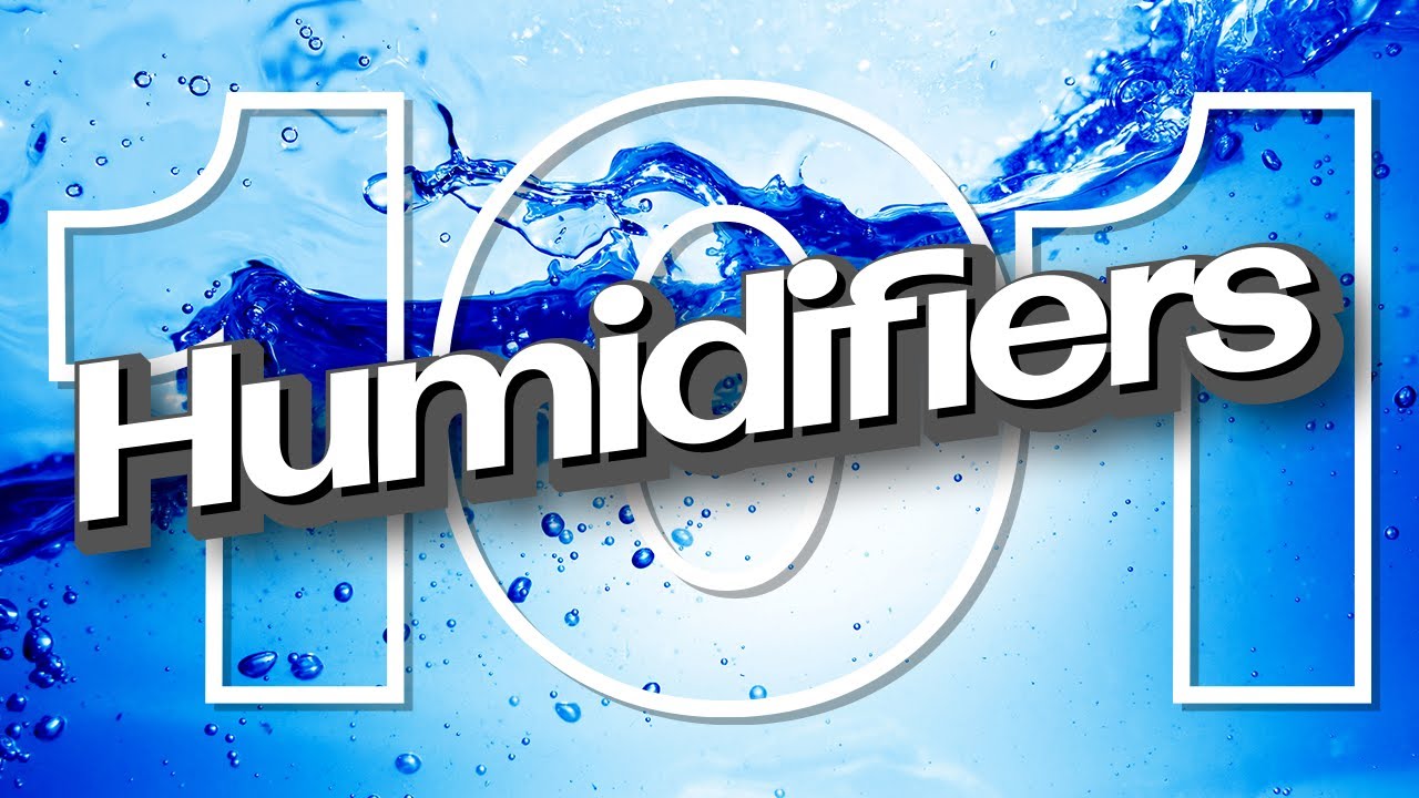 Humidifiers for String Instruments 101