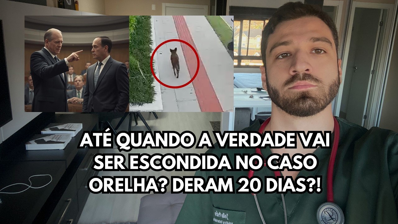 Caso Orelha vira escândalo: Ministério Público aponta ameaças e falhas na investigação