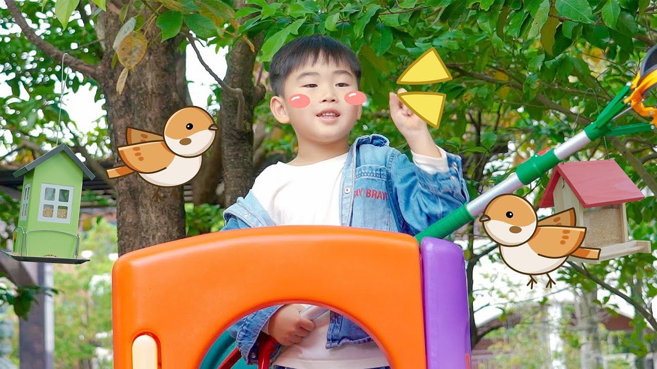 Fengfeng Installs Bird Feeder on Balcony | Inviting Little Birds to Eat!