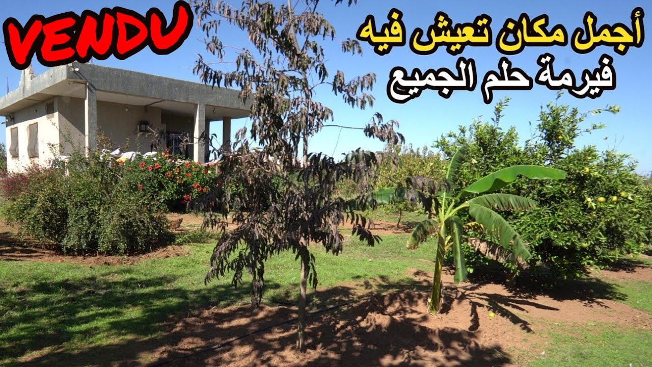 ✨أروع ماشفتي فيرمة 2 هكتارات بمنزل جميل و اشجار كثيرة ليك ولي عزيز عليك  باجمل الاماكن ✨تيفلت