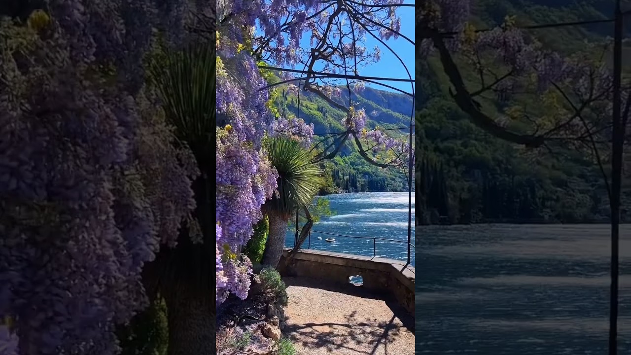 #NatureVibes #GreenEscape #PeacefulViews #EarthBeauty #Wanderlust #NatureLovers l#ScenicNature