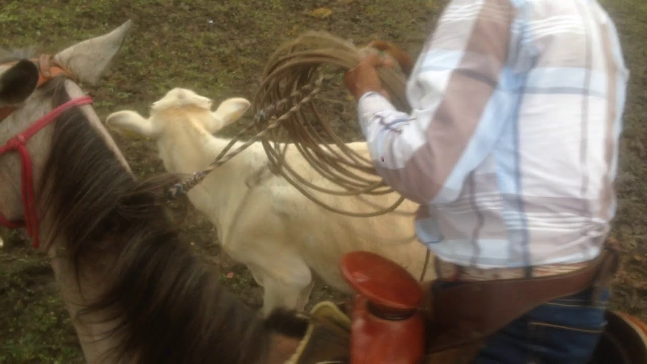El Maguey Maguaquite Chicontepec Veracruz. Jaripeos Junio/13/2018. Parte 8
