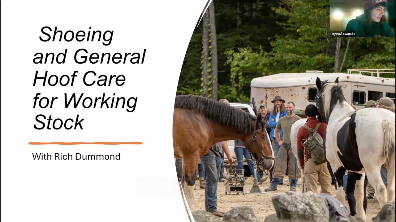 Shoeing and General Hoof Care for Working Stock with Rich Dumond: DAPChat January 2025
