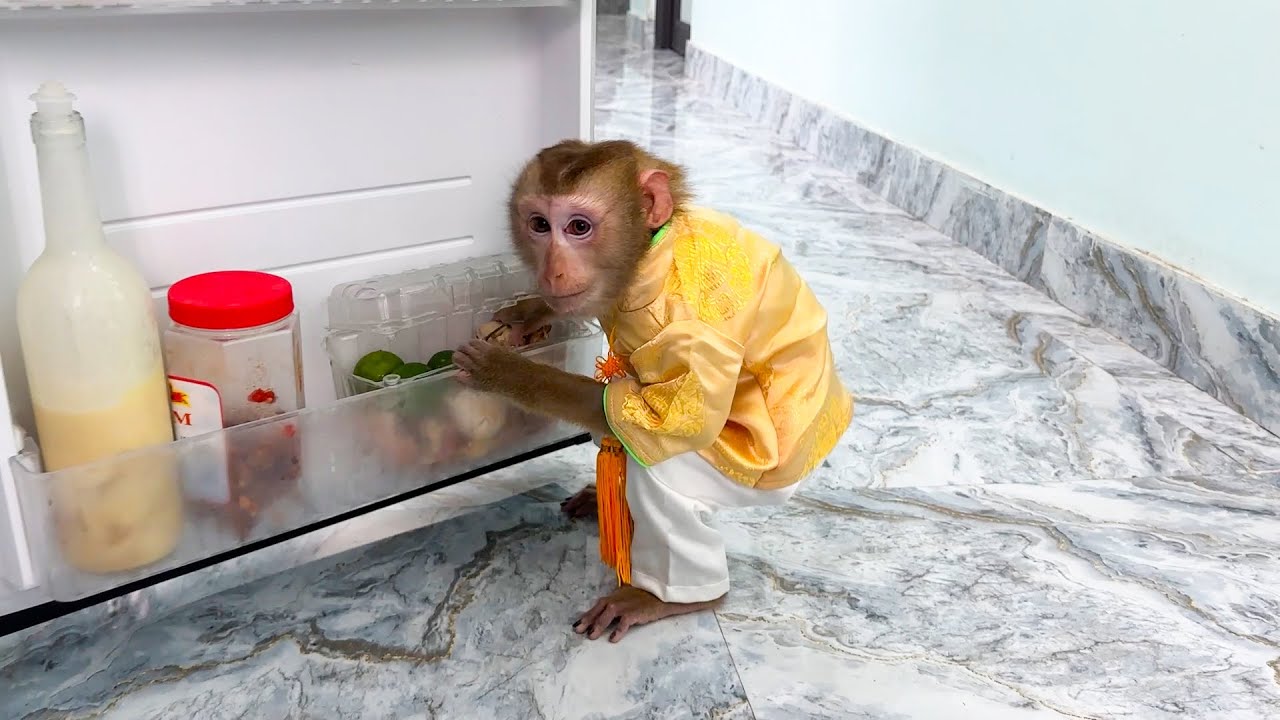 Monkey Kaka's eyes are stinging because accidentally ate an onion