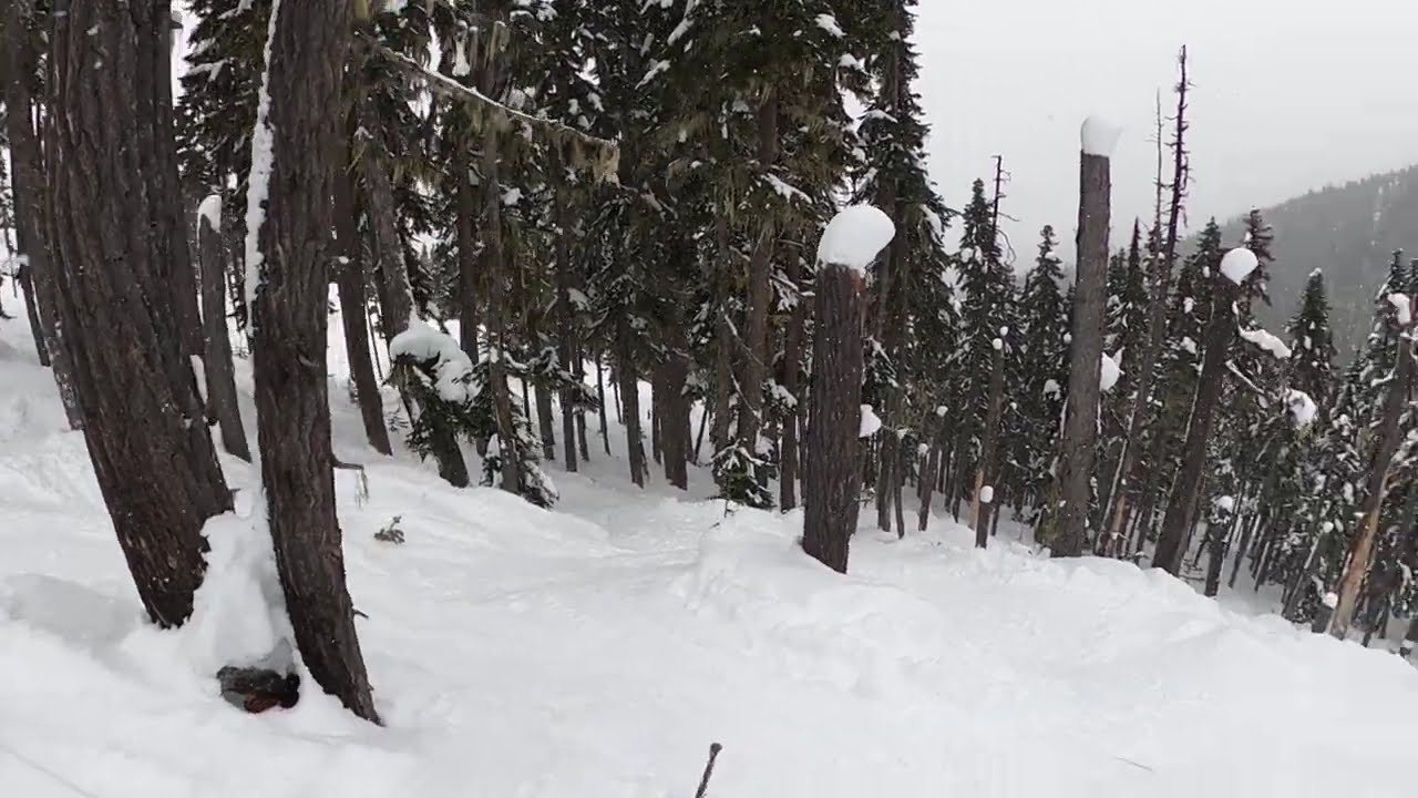 BLACKCOMB ,  OUTER LIMIT'S ! ! ! !      BUTTERY TREE ADVENTURE  ! ! ! !