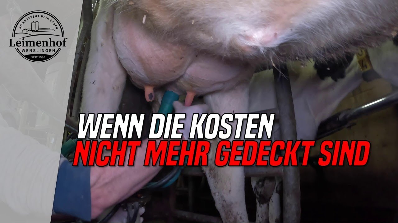Steigende Kosten und ein angespannter Milchmarkt - So entsteht dein Essen #307