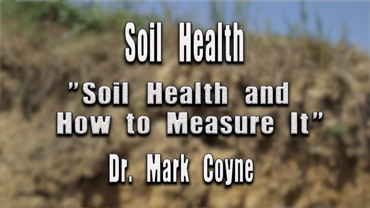 Soil Health and How to Measure It