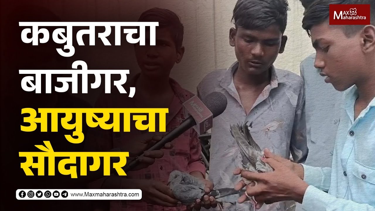Pune kabutarbazi : डॉक्टर, इंजिनिअर सोडून मुलांना व्हायचे बाजीगर | MaxMaharashtra