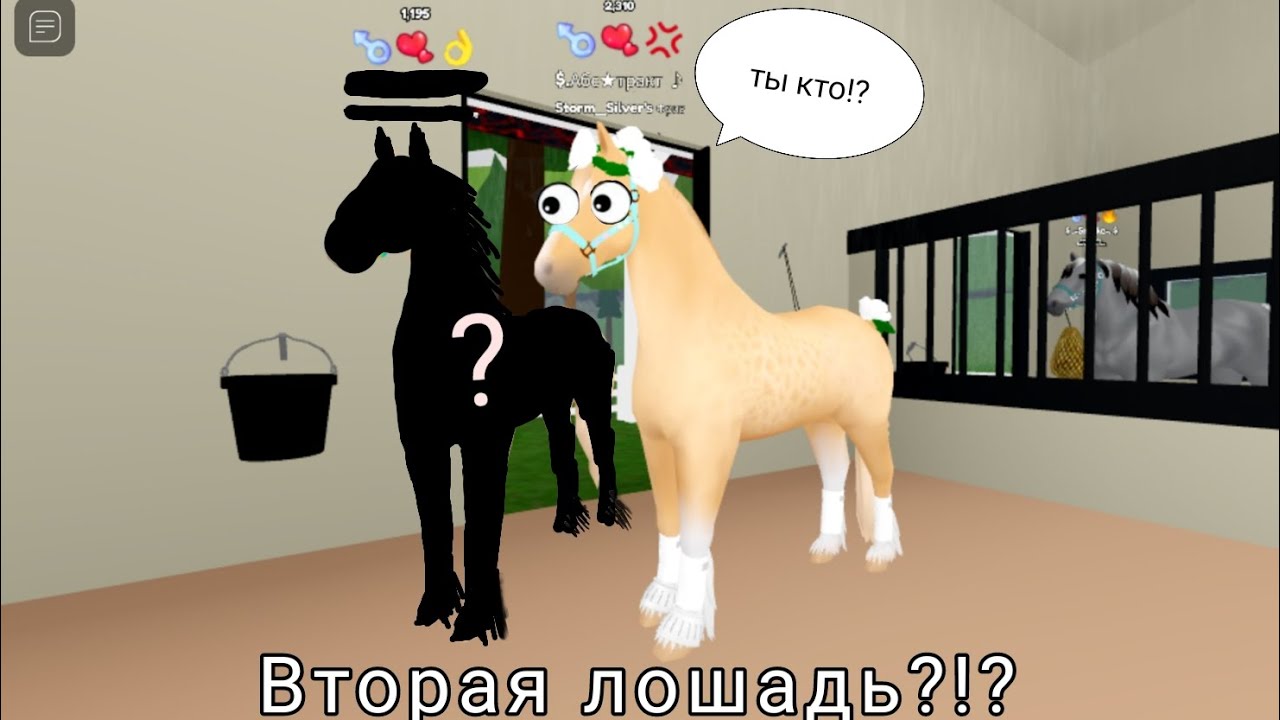 Вторая лошадь!?🤯/ Влог Wild horse island 🏖️