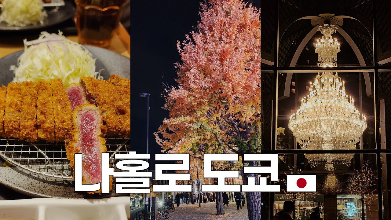 🇯🇵  [ep1.나홀로 3박 4일 도쿄여행] 겨울 느끼러 왔는데 단풍에 반해버린 12월의 도쿄 / 가성비 호텔, 하라주쿠 맛집, 도쿄 야경, 일루미네이션