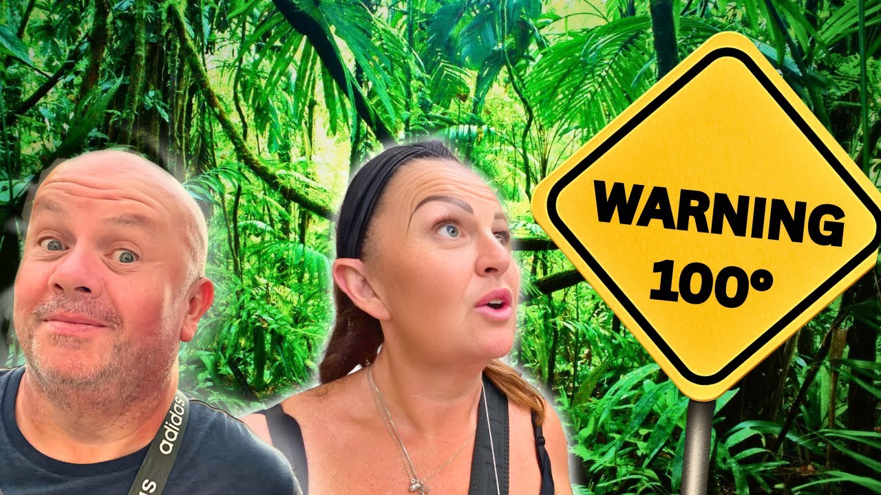 Can We SURVIVE In A RAINFOREST