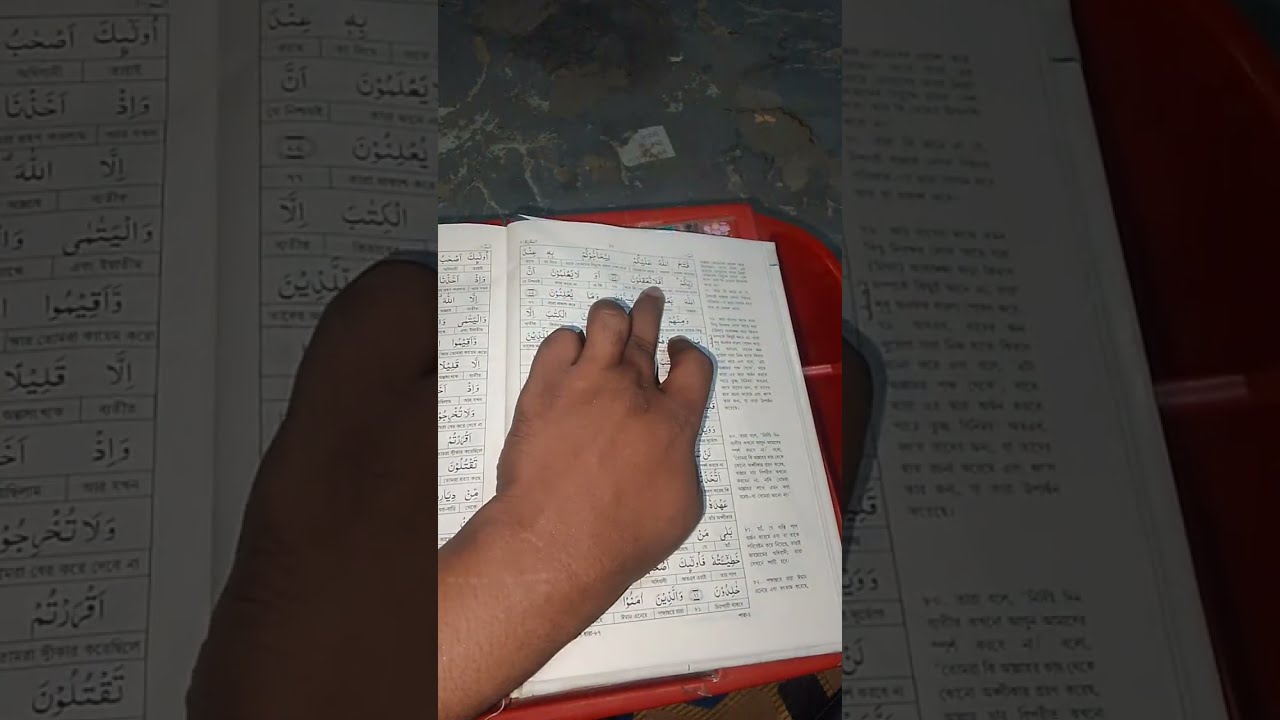 কোরআন শিক্ষা ভাঙ্গা ভাঙ্গা উচ্চারণ অর্থ সহকারে সূরা বাকারা ৭১ থেকে  ৮০নং আয়াত পর্যন্ত
