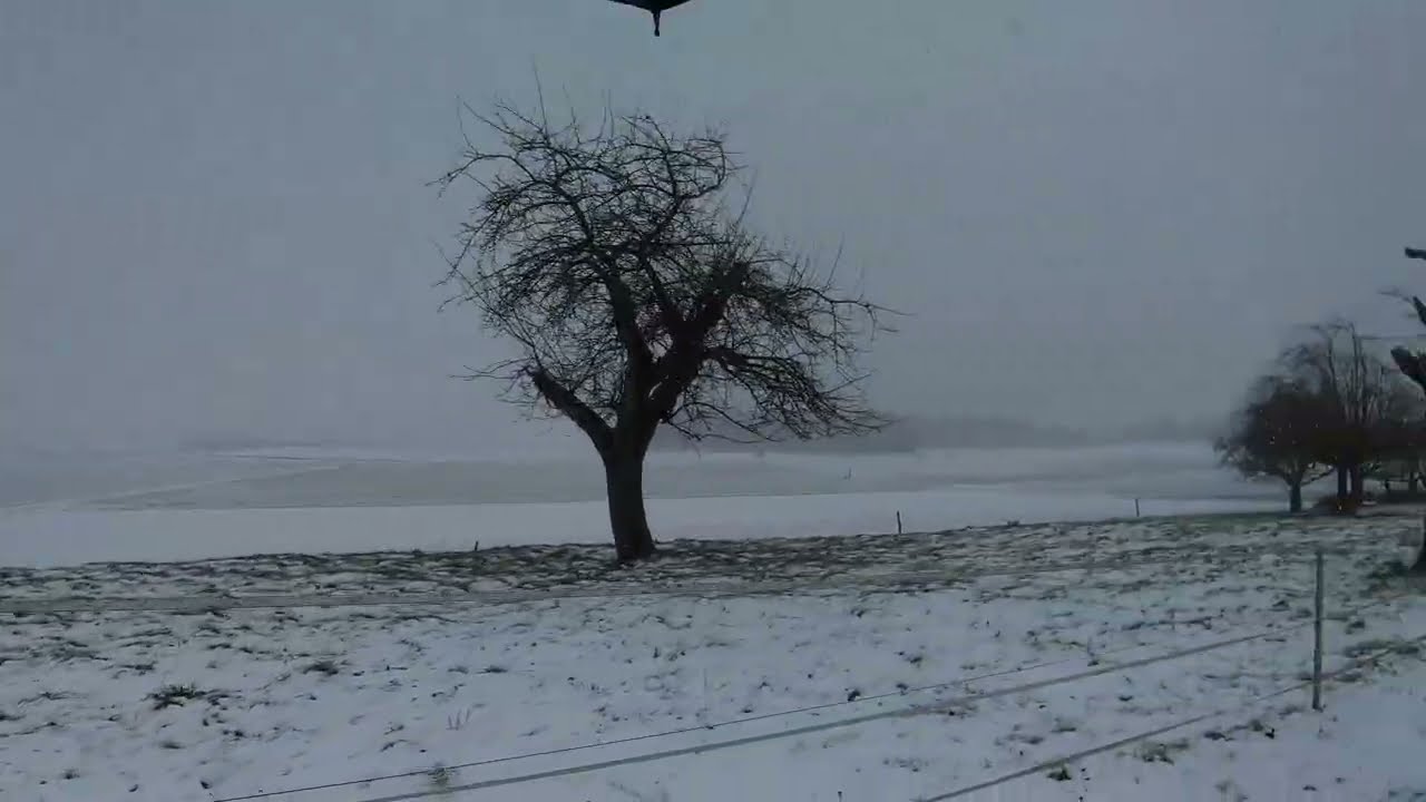Schnee-Tour Januar 2026