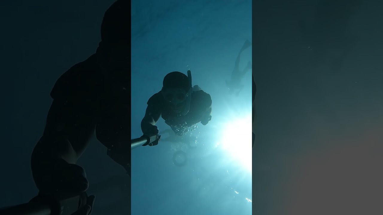 رحلة غوص حر في جدة #divine #freediving #jeddah #divine #life