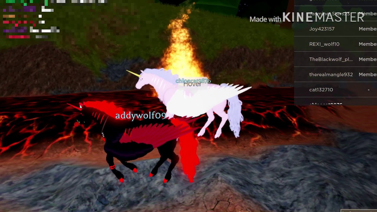 Unicorn showcase|Horse World|