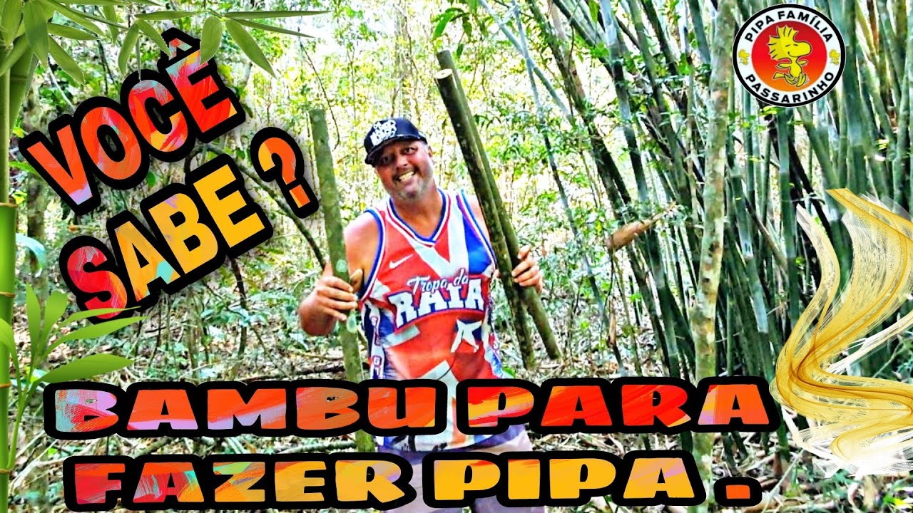 Você sabe qual melhor bambu para fazer pipa? Aprenda algumas curiosidades.     #perfect #pipa #bambu