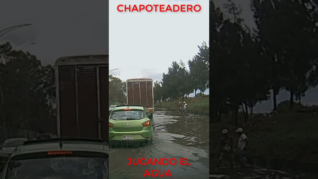 EL DROGUI Y SU CHAPOTEADERO 