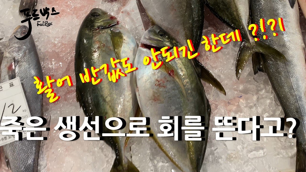 죽은 생선을 회떠도 괜찮을까? 활어 반값도 안되는 가격으로 선어 횟감 고르는 방법