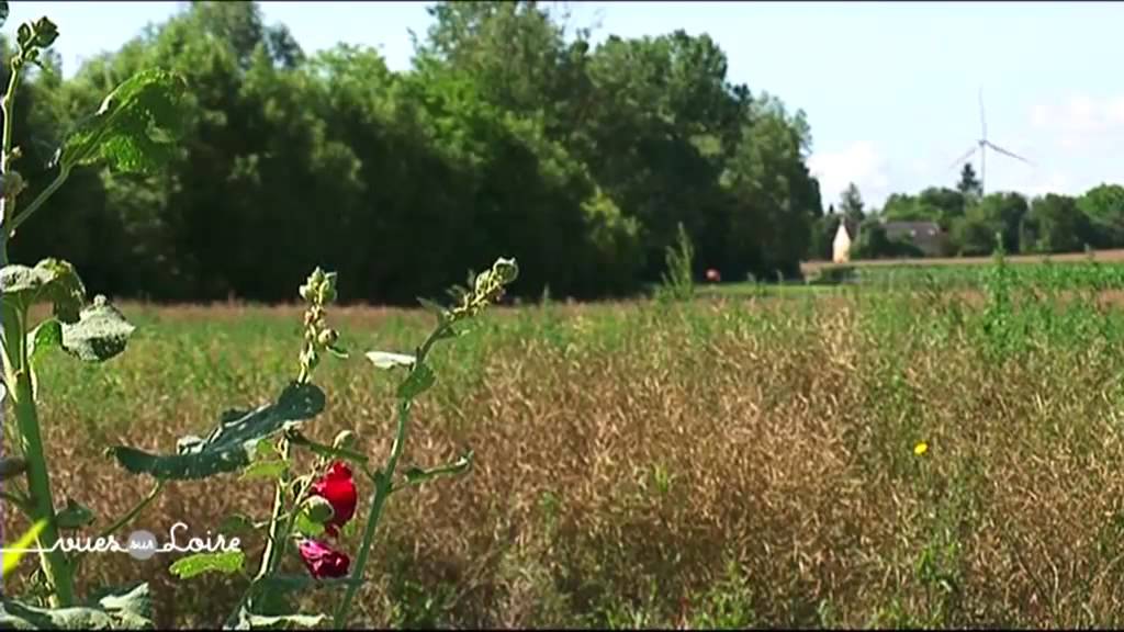Reportage : Paysages La Champagne Berrichonne