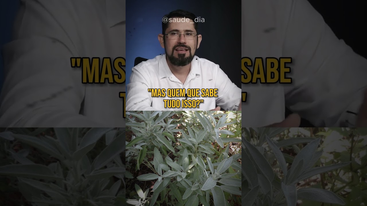 O PODER DA S&Aacute;LVIA PARA TRATAMENTOS NATURAIS