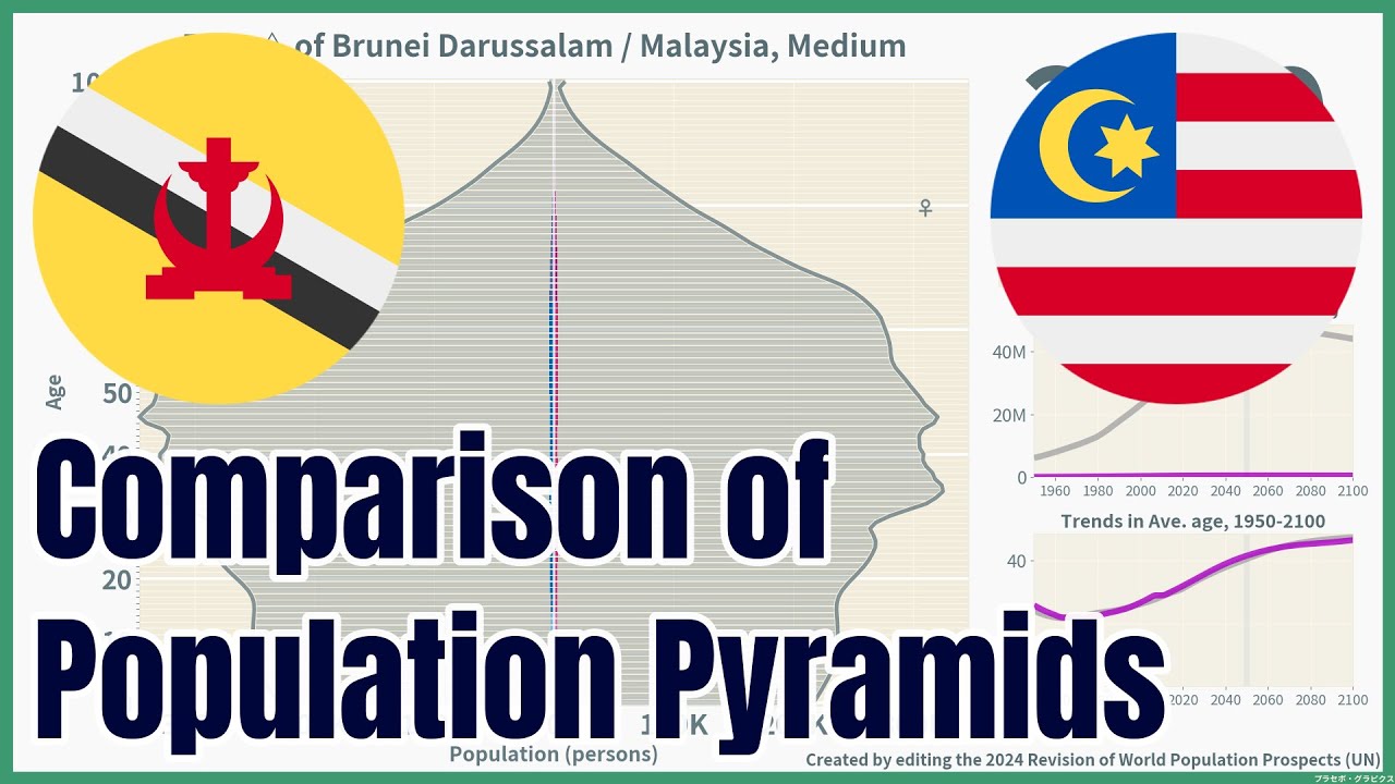 [🇧🇳Brunei Darussalam vs 🇲🇾Malaysia] Comparison of Population Pyramids (1950-2100), 4 scenarios,