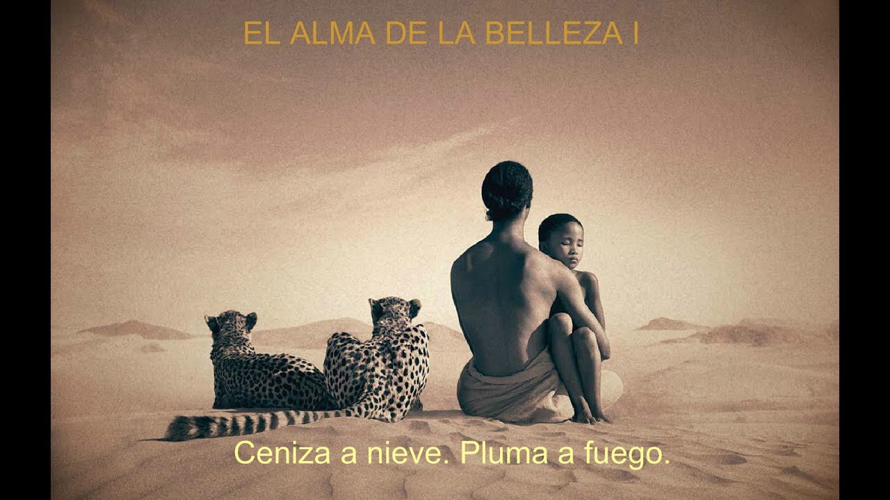 El alma de la  Belleza I. Ceniza a Nieve. Pluma a fuego.