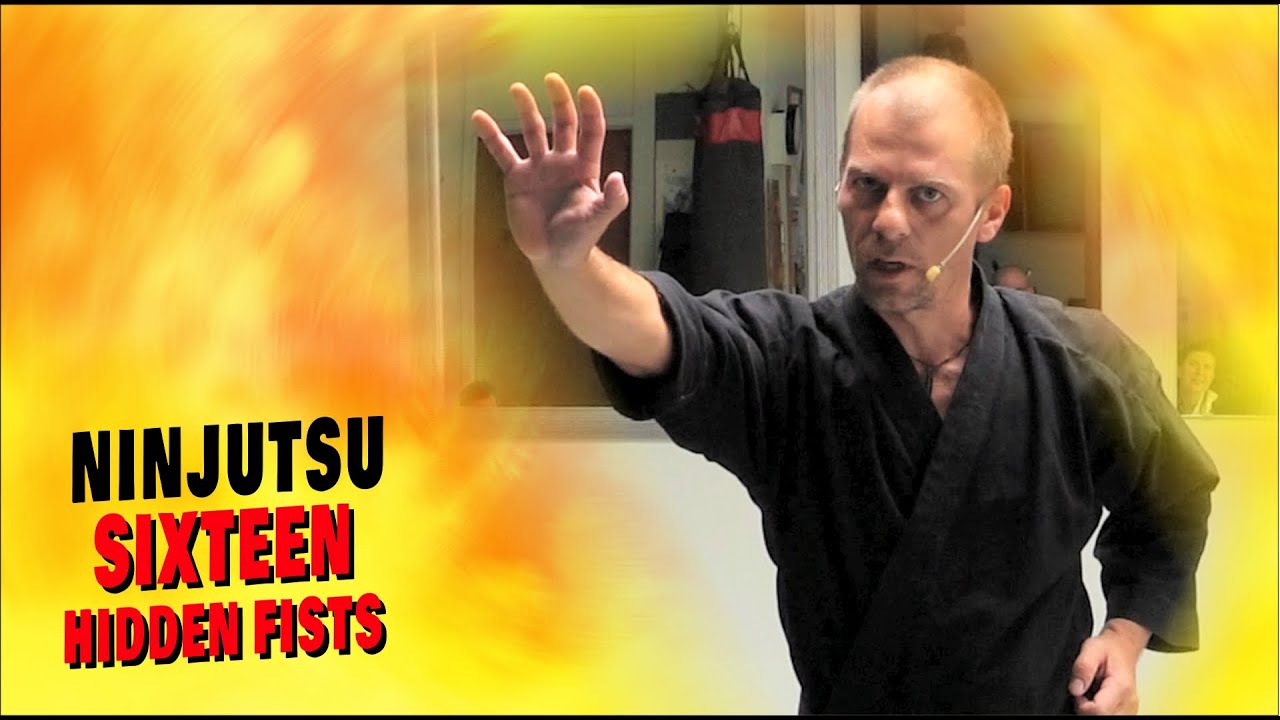 THE 16 HIDDEN FISTS OF NINJUTSU | Hoken Juroppo Ken