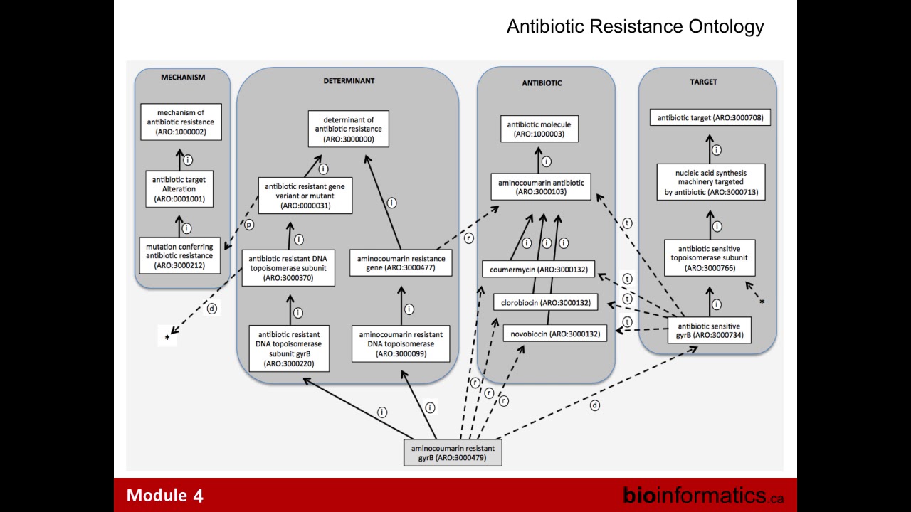 Antimicrobial Resistant Gene Analysis