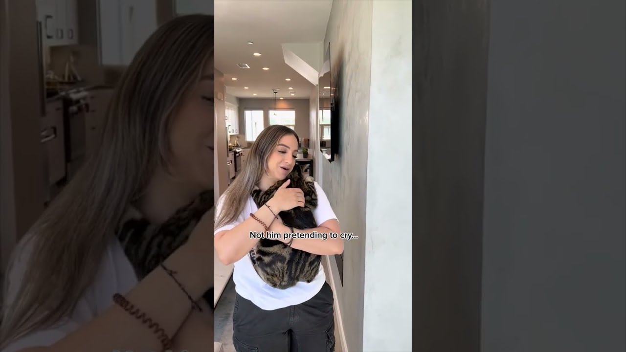 САМЫЕ СМЕШНЫЕ ВИДЕО С КОШКАМИ 😂