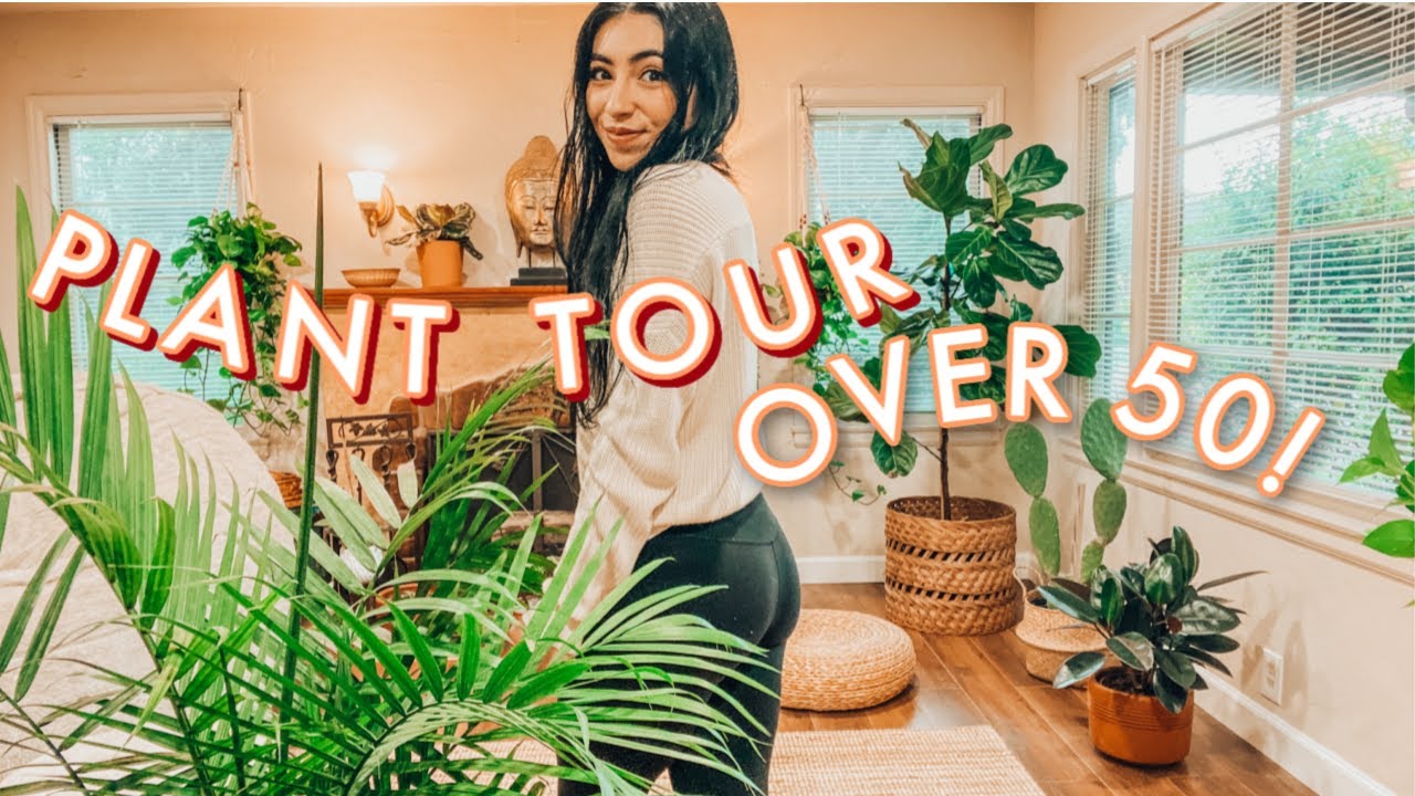 Plant Tour | My Houseplant and Decor Collection