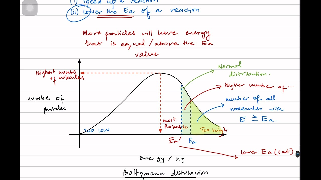 Химия, уровень A2 &ndash; Катализаторы, часть 1