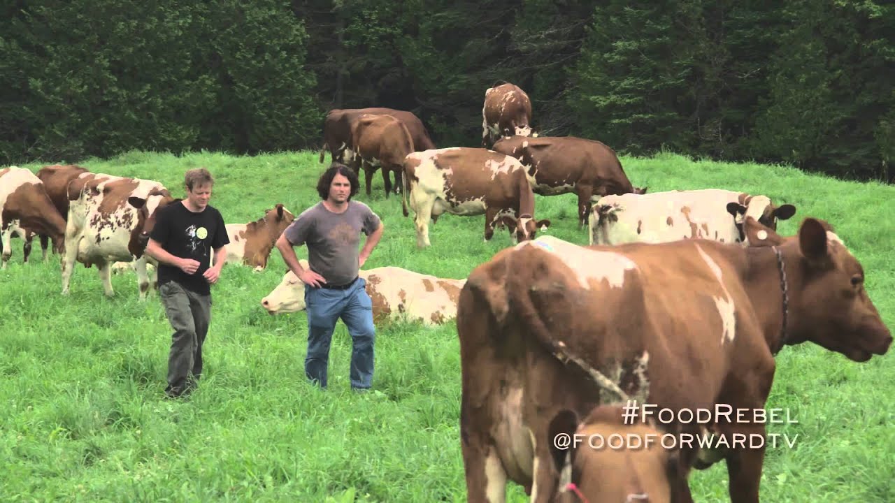Food Rebel | Mateo Kehler | Jasper Hill Farm