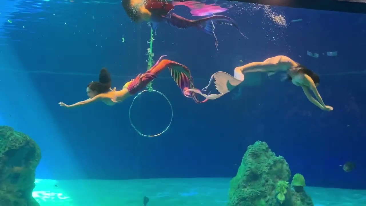 美若天仙 美人魚表演 ～ 20220719