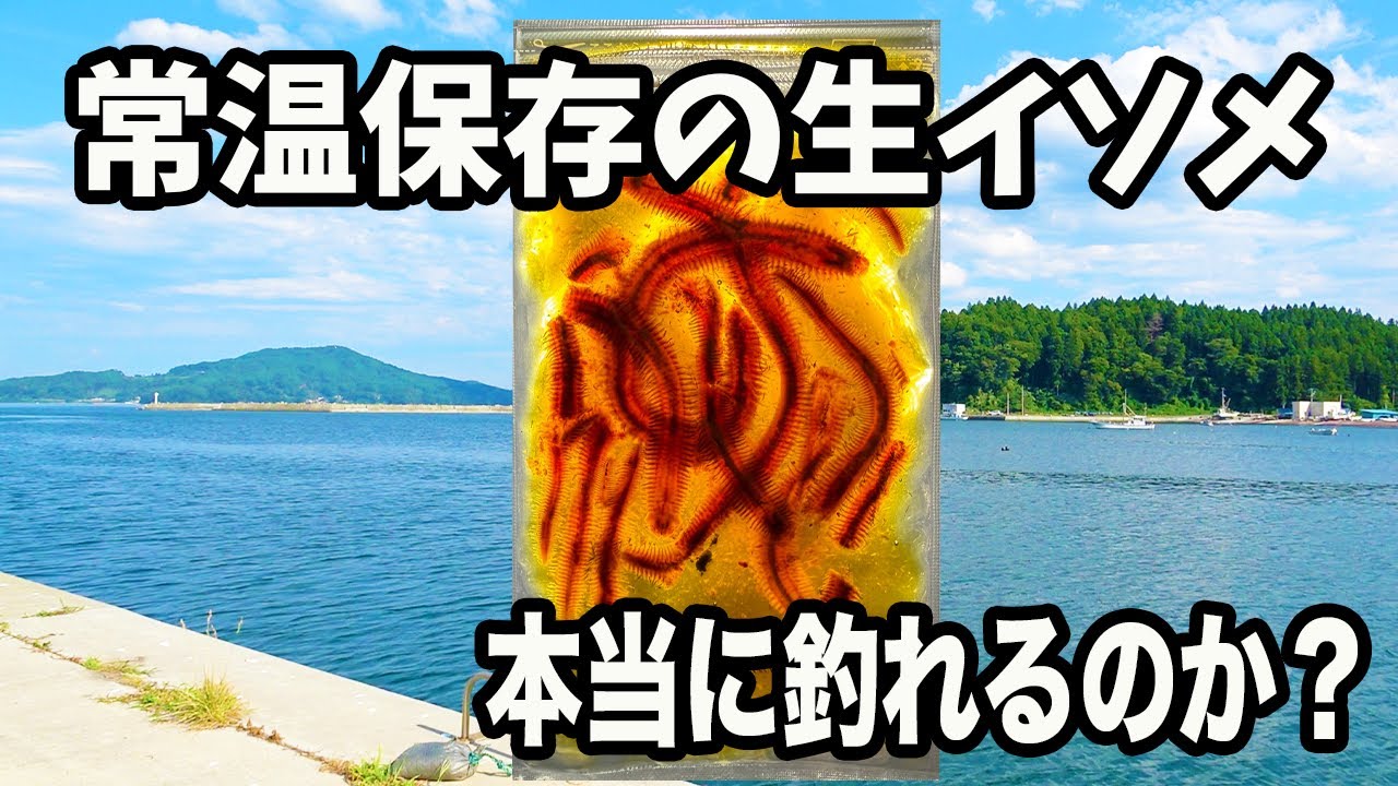 【検証】常温保存できる「生イソメ」の実力とは！誰も予想できない結末に...