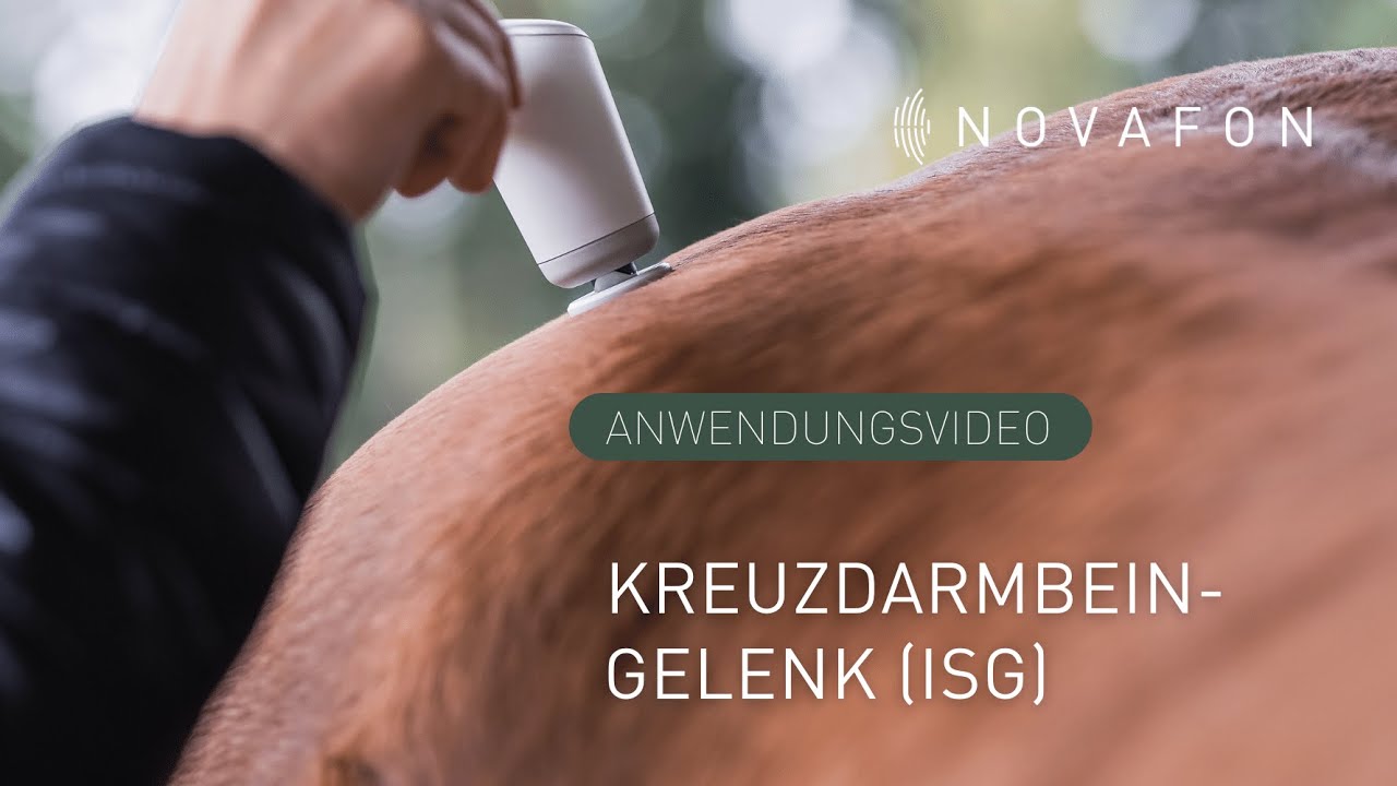 Kreuzdarmbeingelenk (ISG) beim Pferd behandeln | Anwendungsvideo | NOVAFON