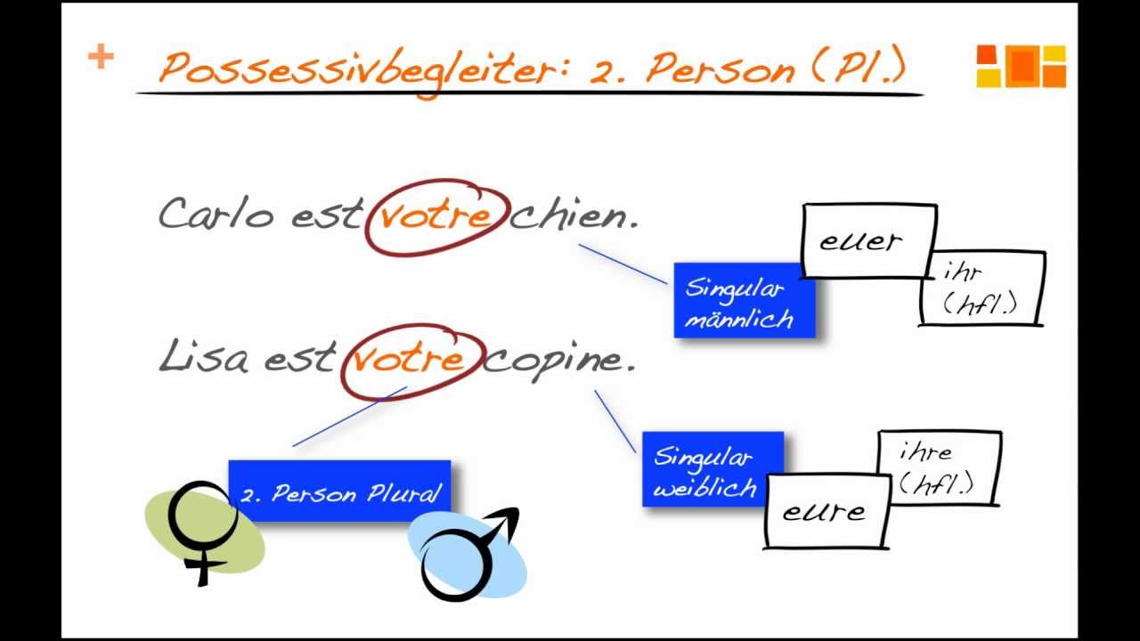 Possessivbegleiter im Französischen (Teil 1)