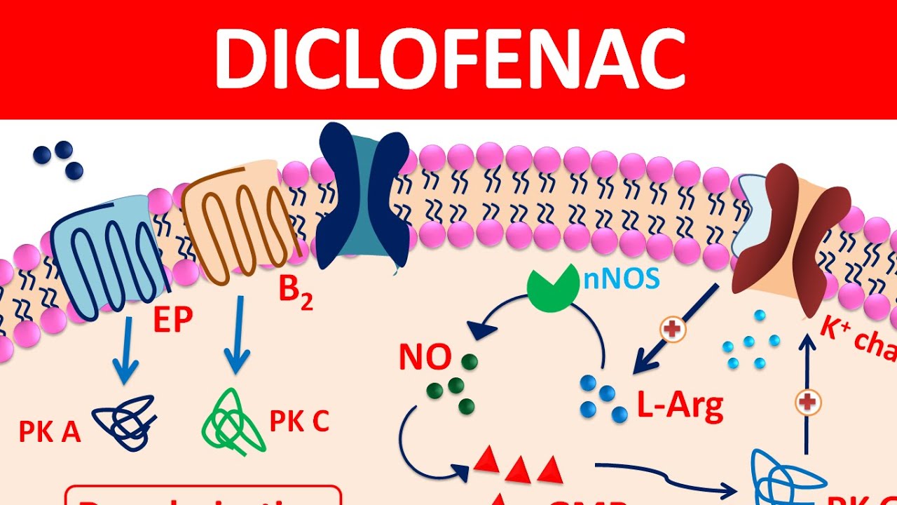 Diclofenac Tablets & gel | New mechanism, precautions & side effects