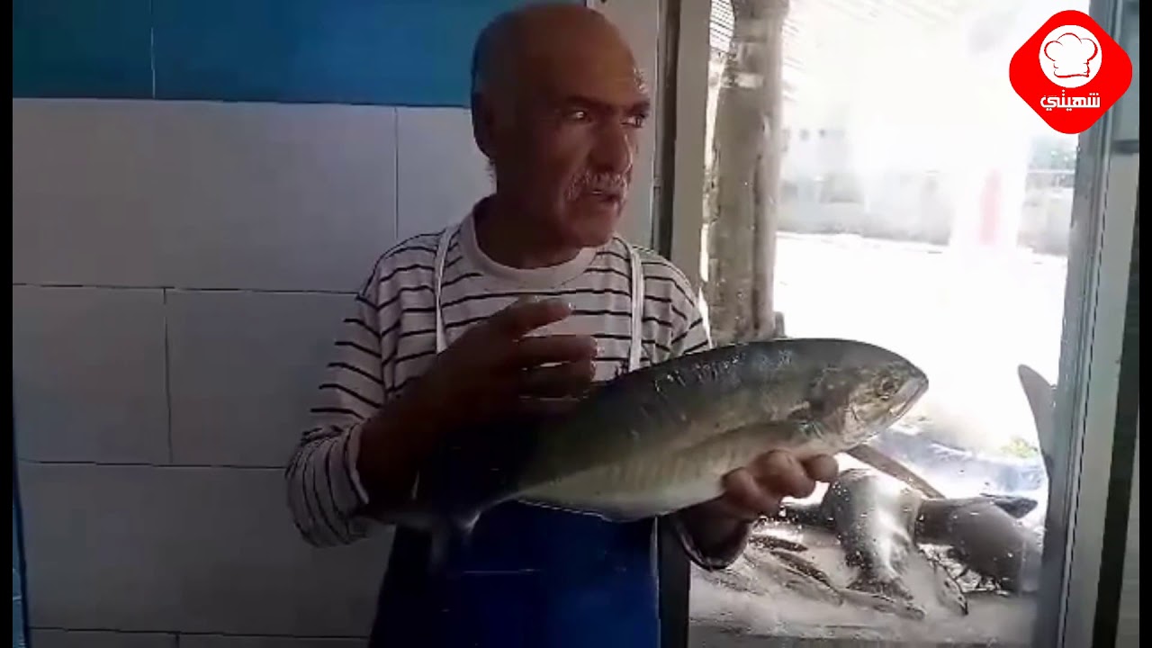سمكة هجينة بين السورال والليمو