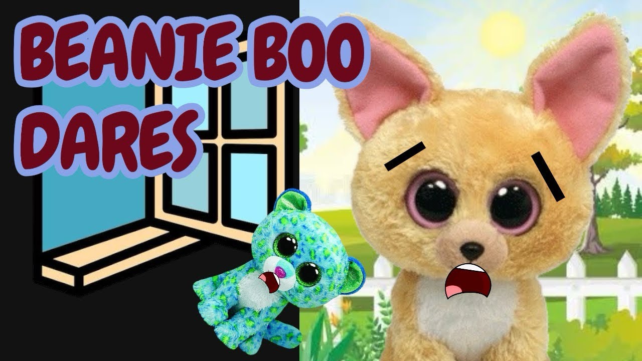 BEANIE BOO DARES!